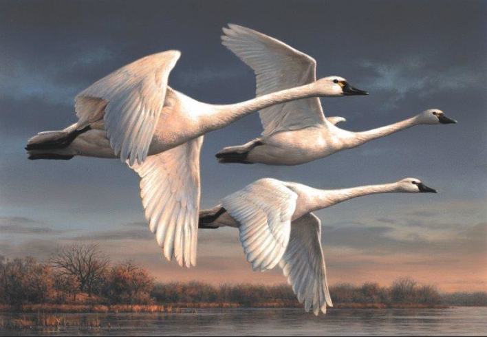 Joe Hautman Wins 2022 Federal Duck Stamp Competition Mossy Oak